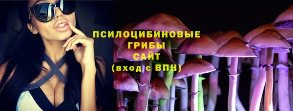 2c-b Алексин