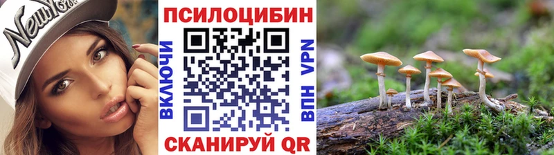 Псилоцибиновые грибы Psilocybine cubensis Харабали